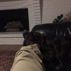 Meet your Posher, Colin